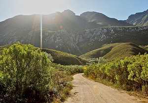 Outdoor Adventures in Swellendam
